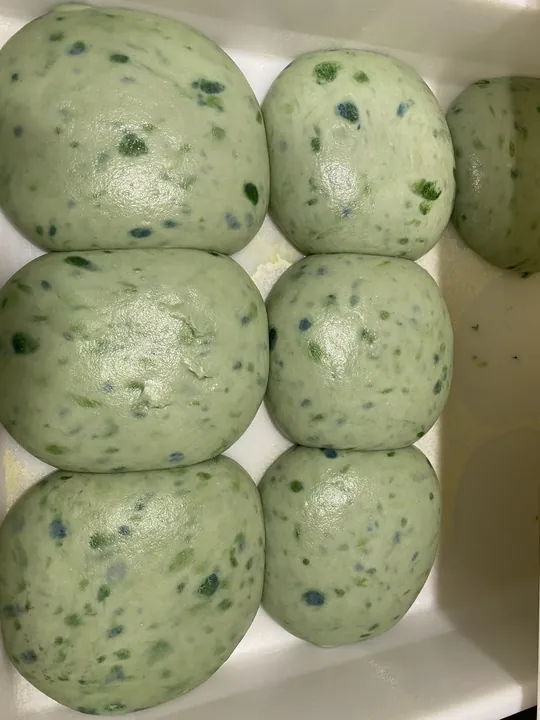 Pâtons verts au basilic alignés dans leur bac